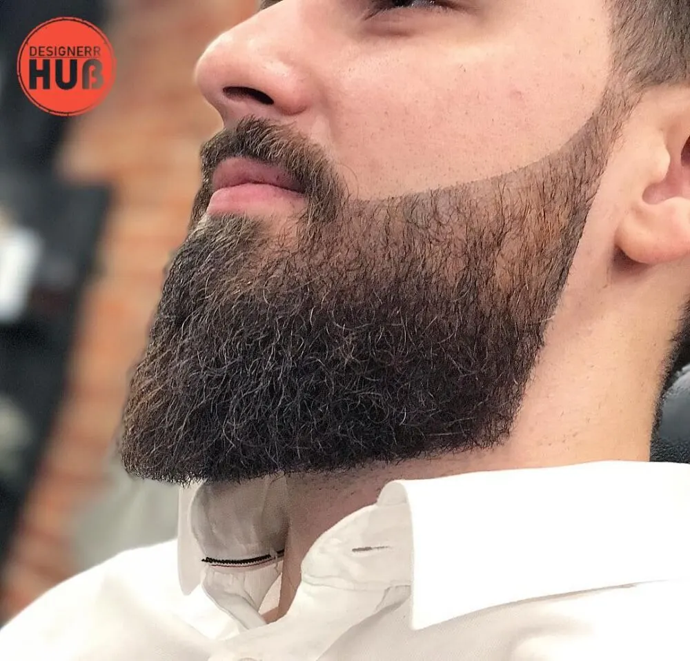 Top Professional Beard Styles For Men [2023]